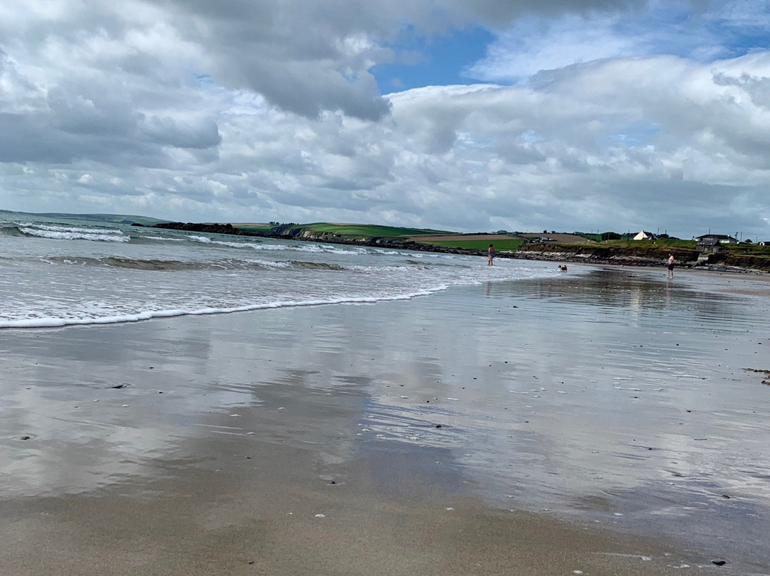 Garrylucas Beach-Old Head必去景点