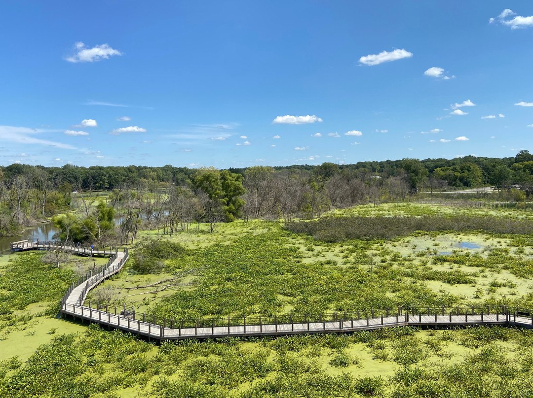 Galien River County Park景点图片