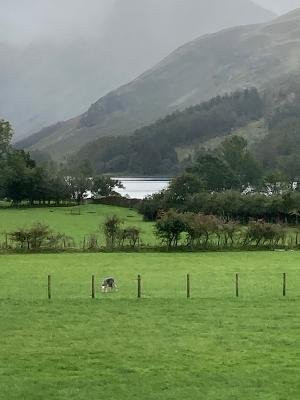 Buttermere Court Hotel主图