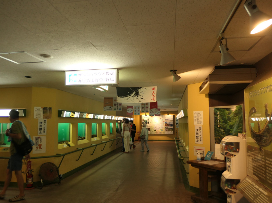 Nihon Salamander Center景点图片