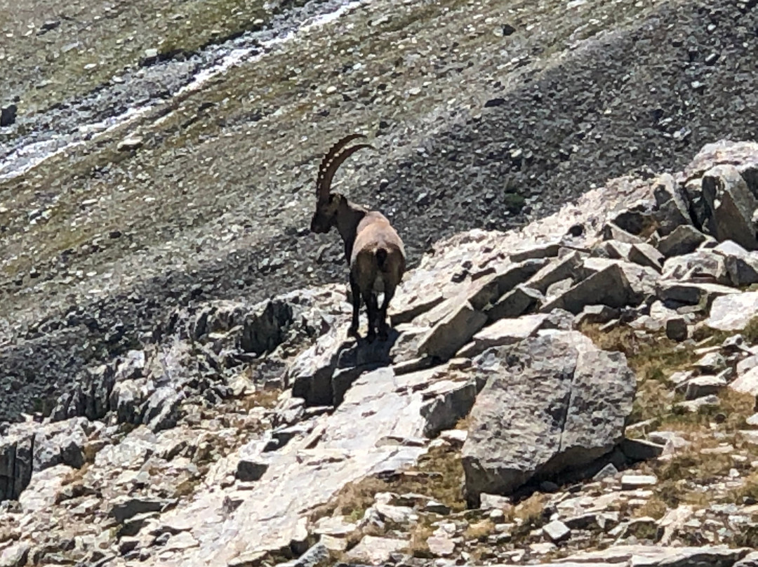 Rifugio Nacamuli景点图片