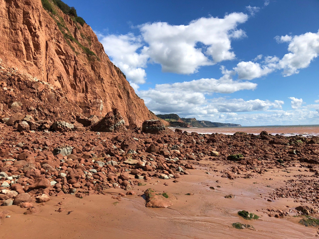 Farmhouse Cottage Bed and Breakfast主图