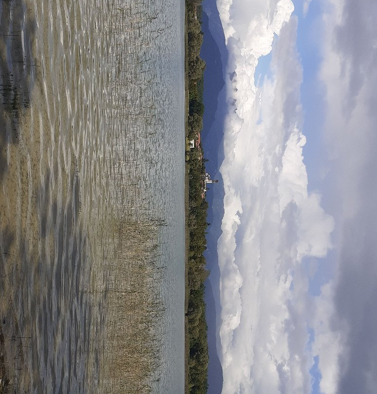 Lago di Pusiano景点图片