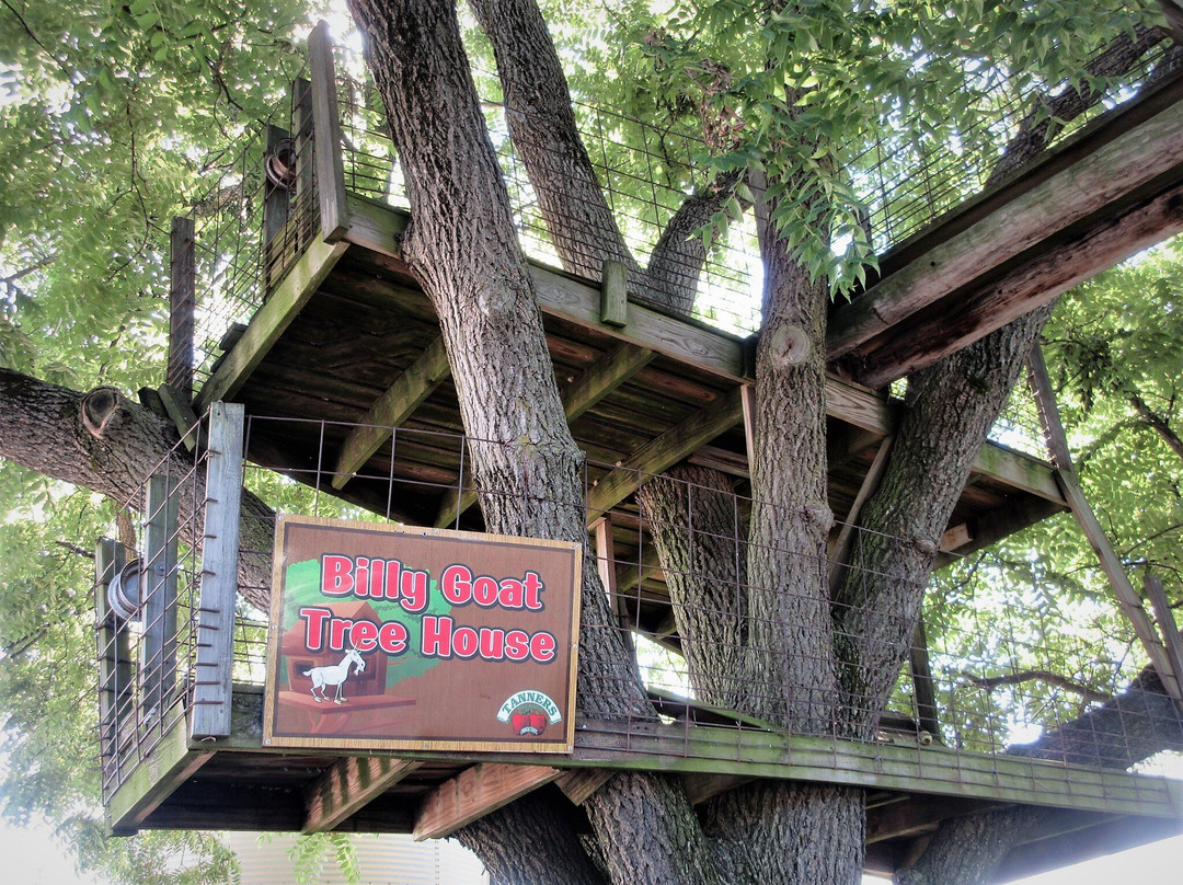 Tanners Orchard-Speer必去景点