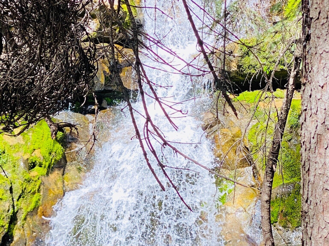 Troll Falls-卡那那斯基斯必去景点