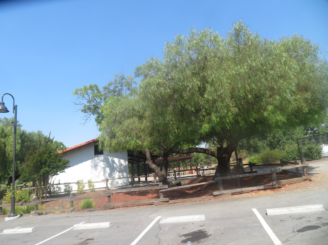 Jose Higuera Adobe Park-米尔皮塔斯必去景点