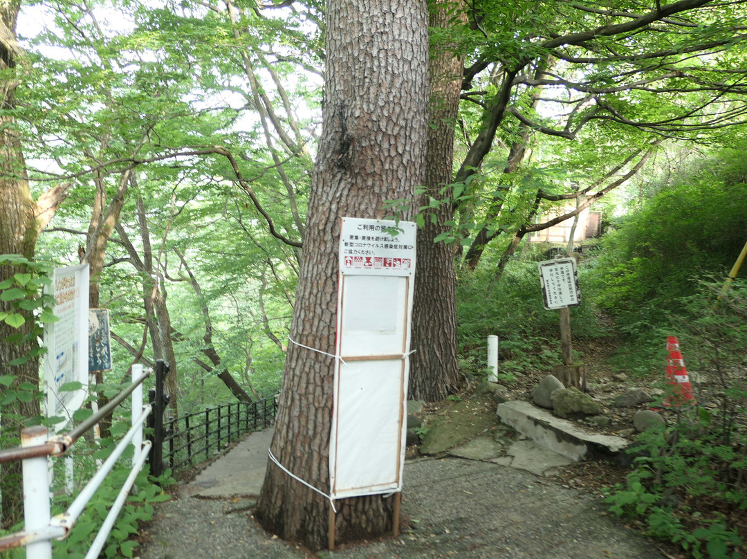 Ryuokyo Canyon景点图片