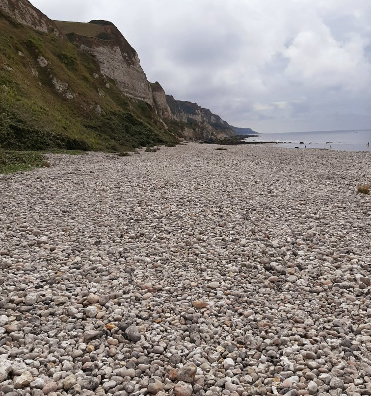 Plage de Saint-Jouin-Bruneval景点图片