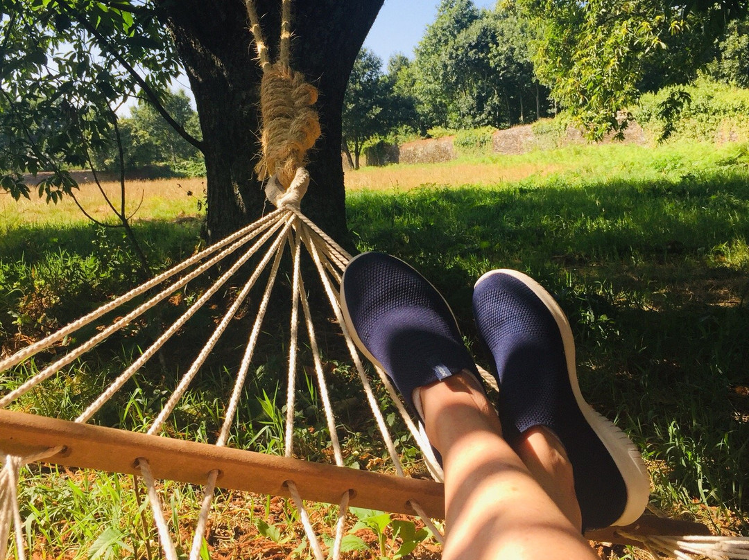 O Pazo da Briona主图