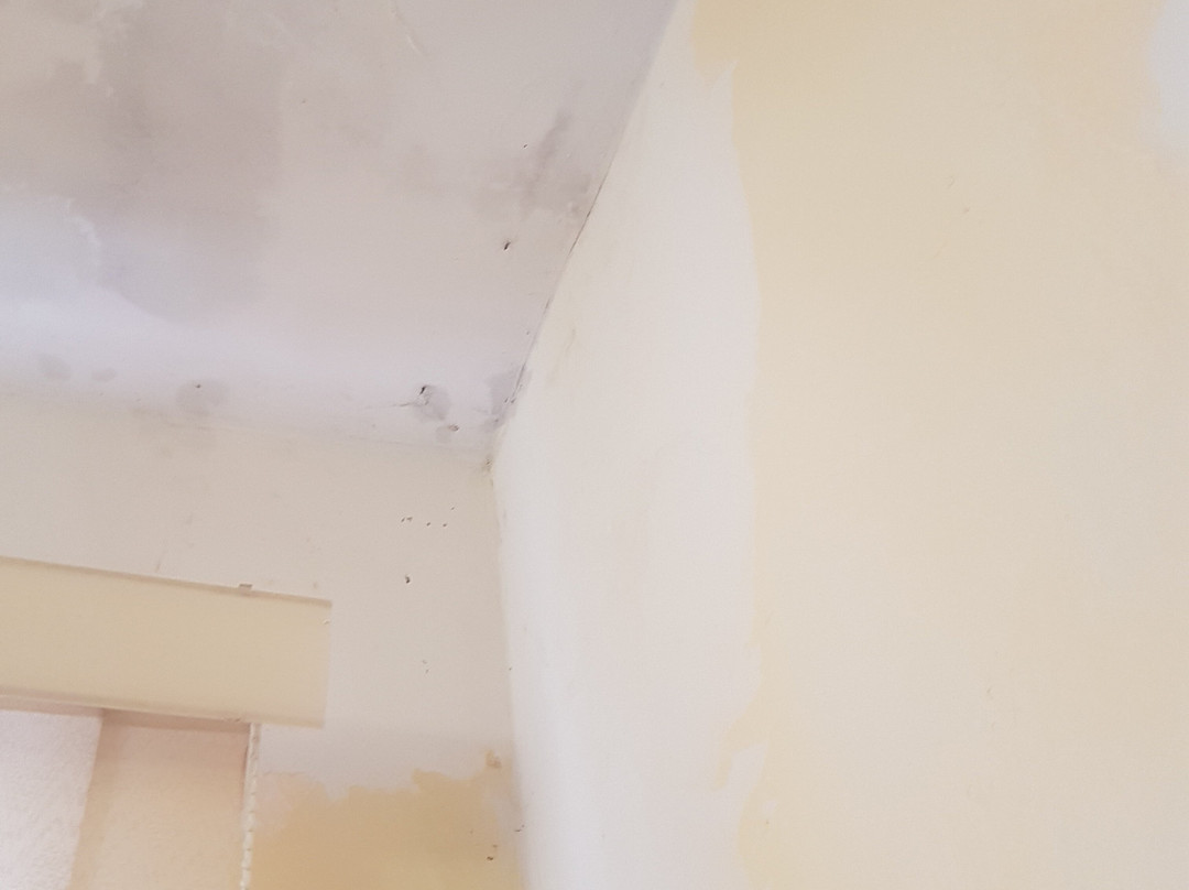 Family Resort UTES主图