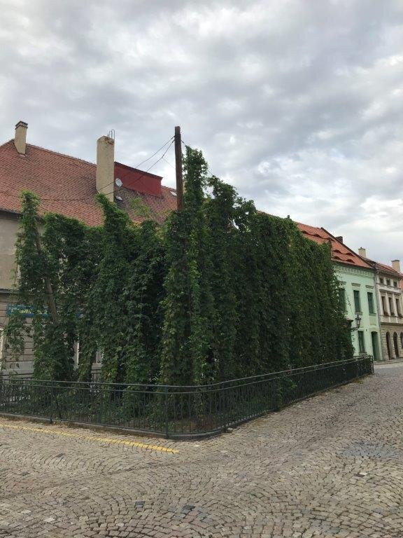 Chmelnička-Zatec必去景点