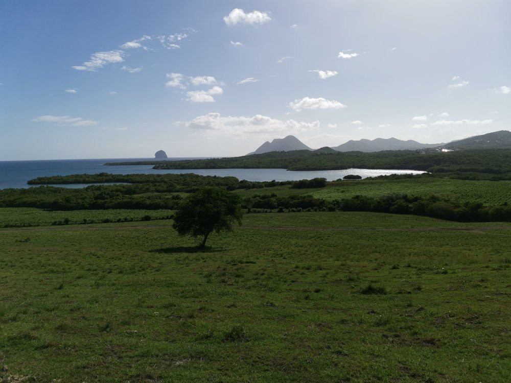 Planete Quad Martinique-圣吕斯必去景点