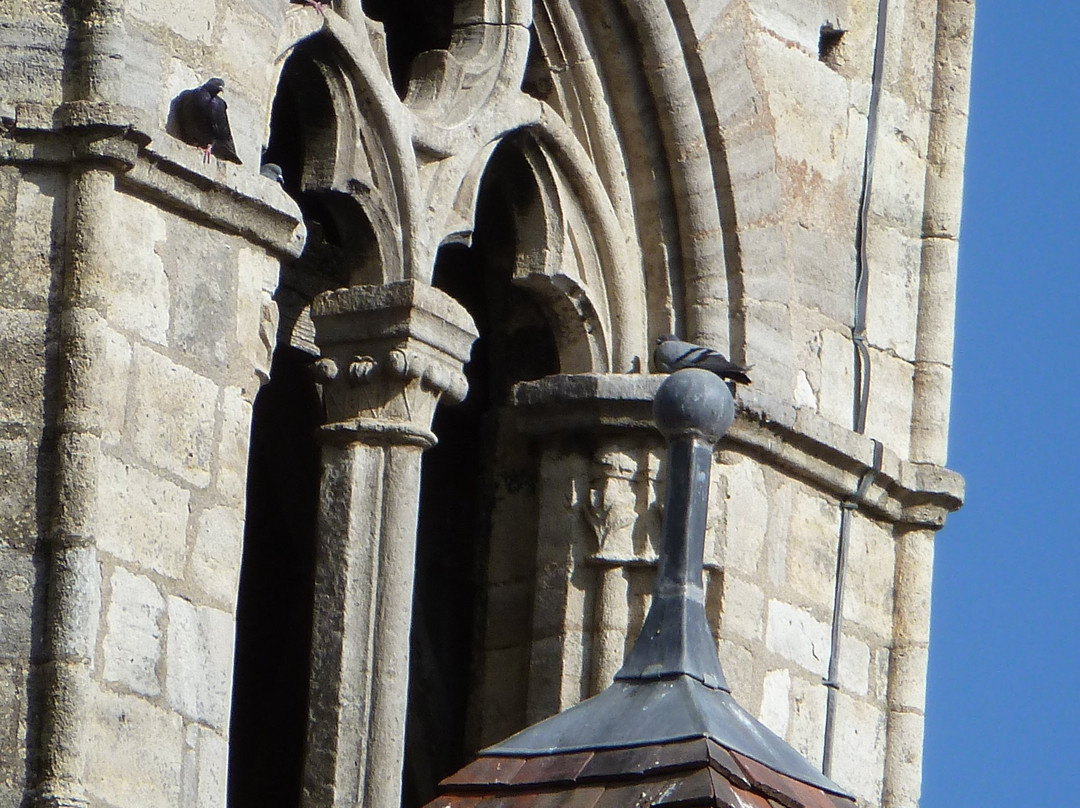 Eglise Saint Martin景点图片