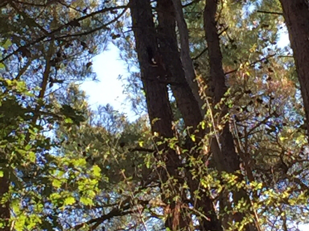 Guest House Liliya主图