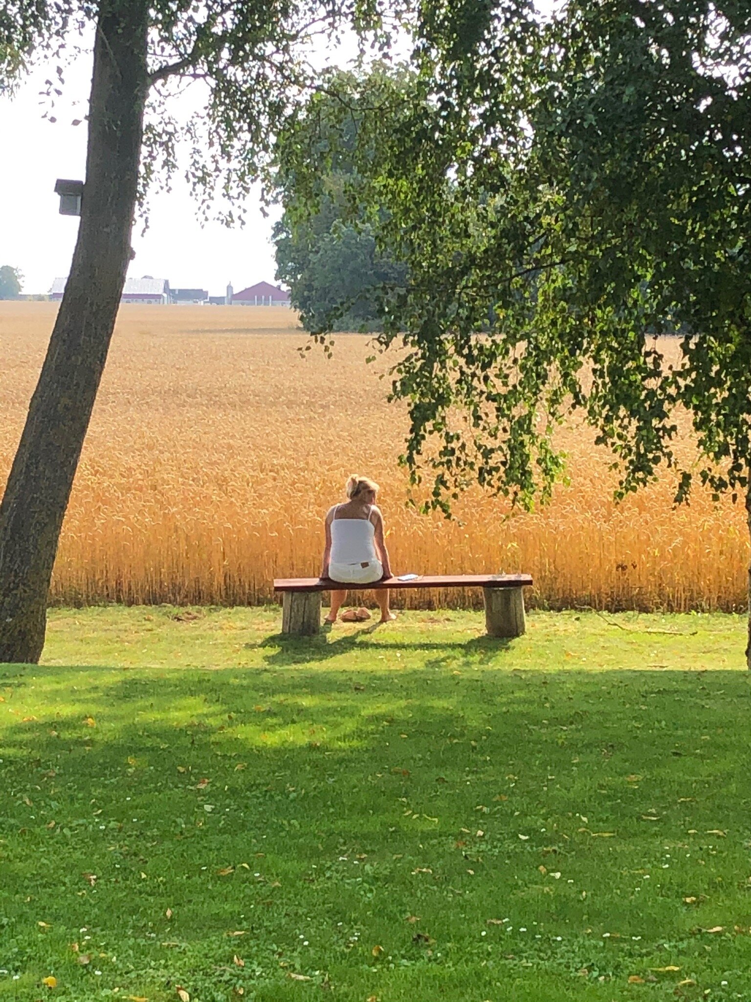 Nils Holgerssongarden-官方