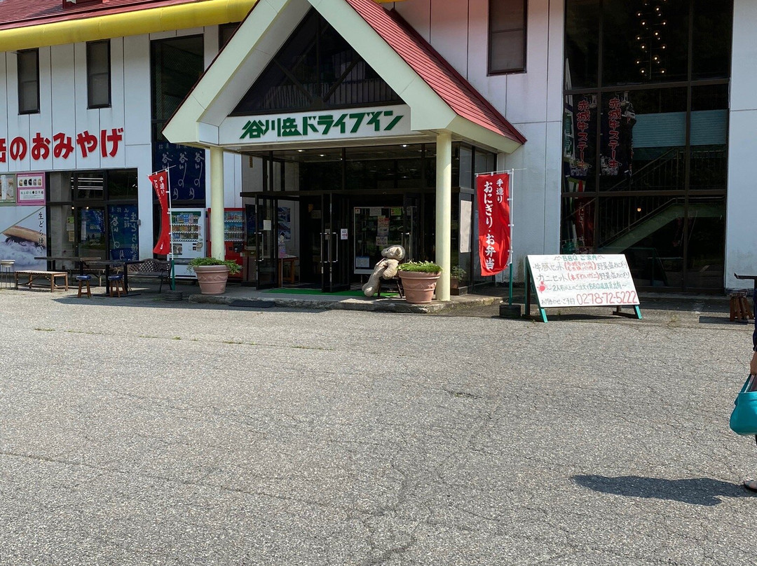 Tanigawadake Drivein景点图片