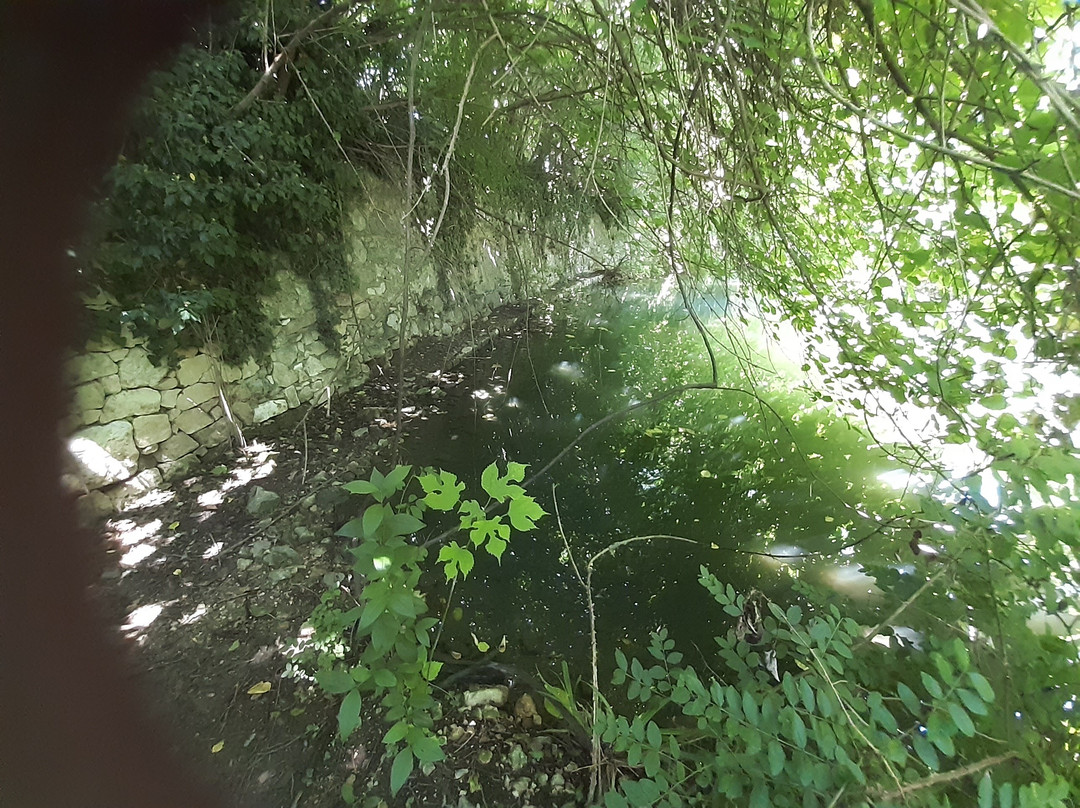 Bagno di Barbarano