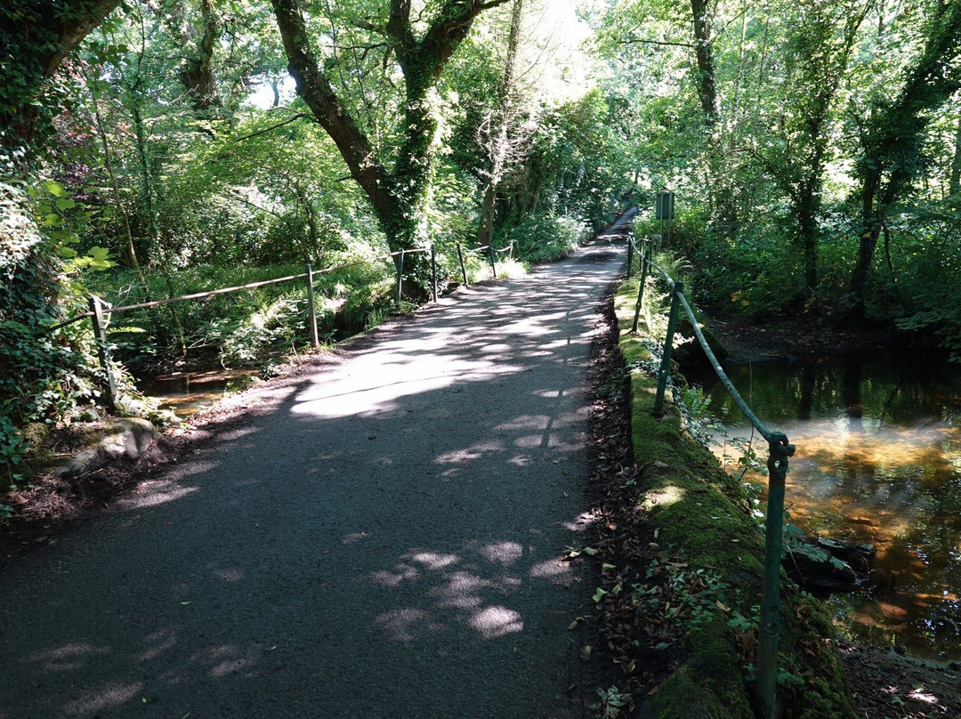 St Breward to Lank Circular Walk景点图片