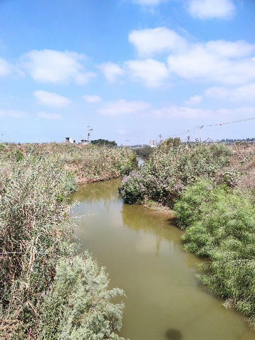 Hadera River Park-Hadera必去景点