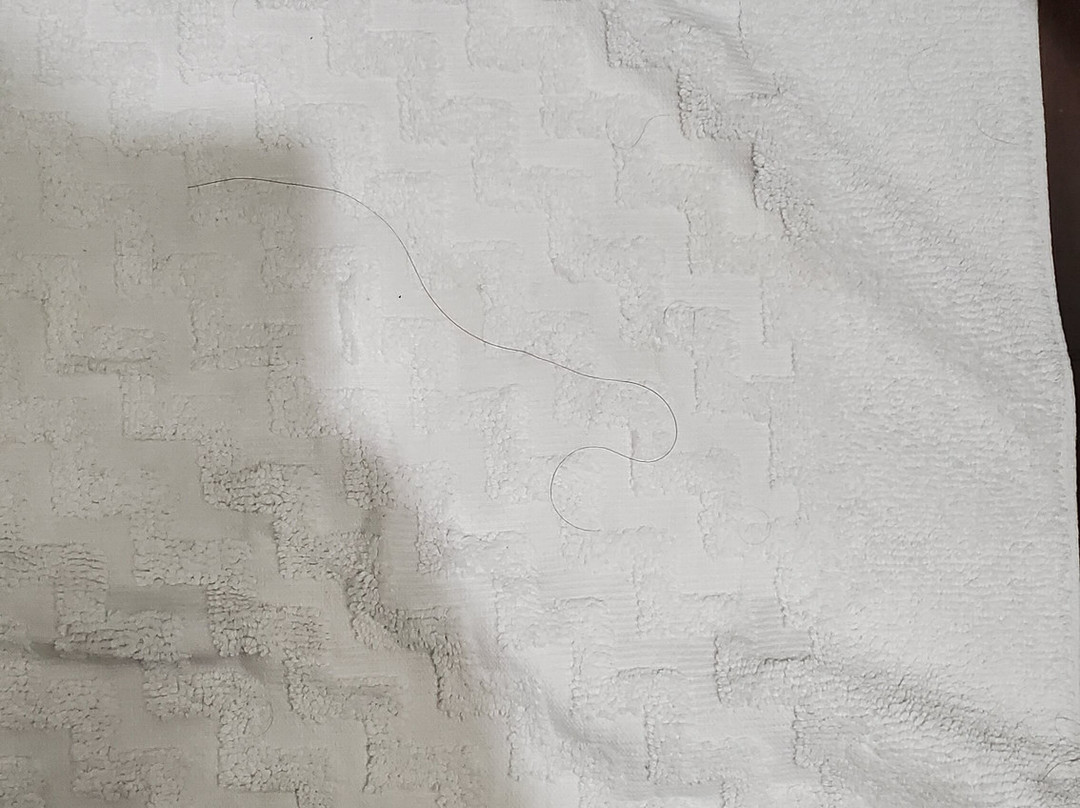 Best Western Pacific Inn主图