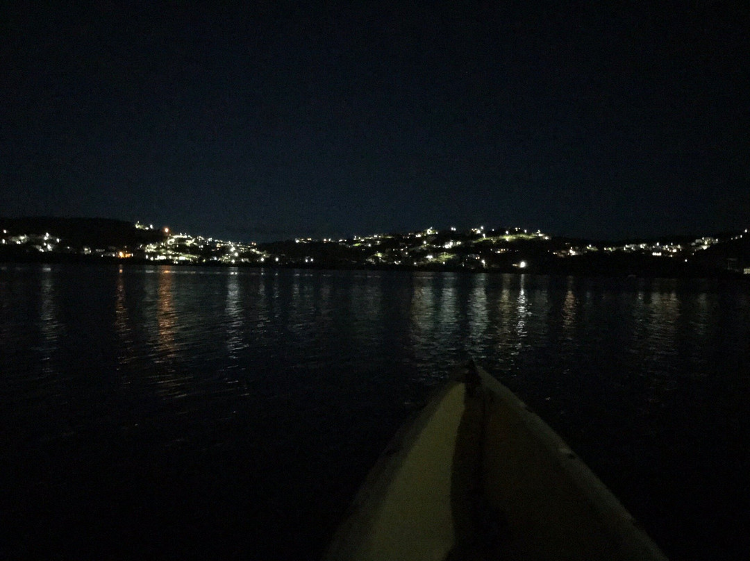 Virgin Island EcoTours - St. Thomas Tours-圣 托马斯必去景点