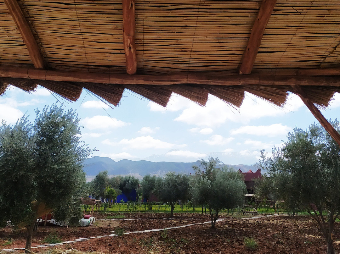 Maison d'Hote Khmissa主图