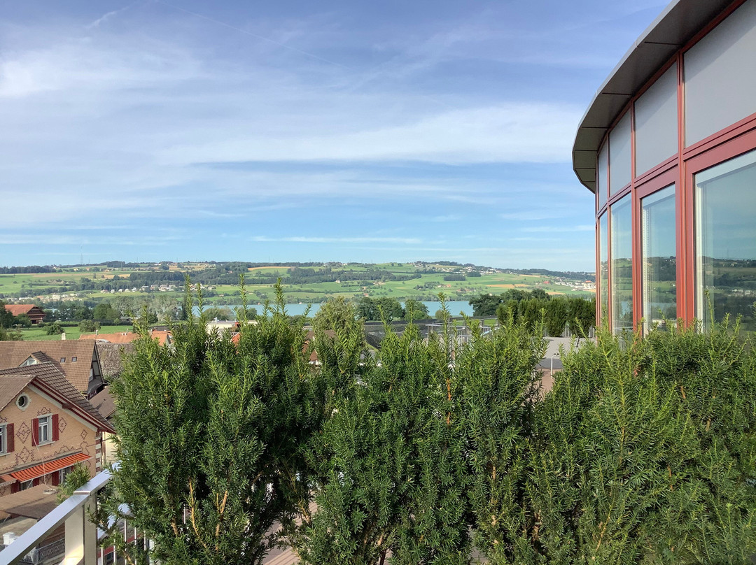 Hirschen Oberkirch Design Boutique Hotel主图