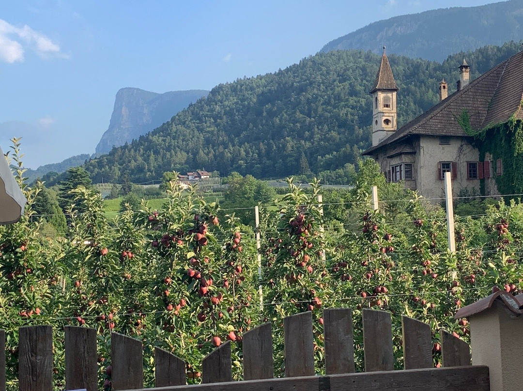 Hotel Schallerhof主图