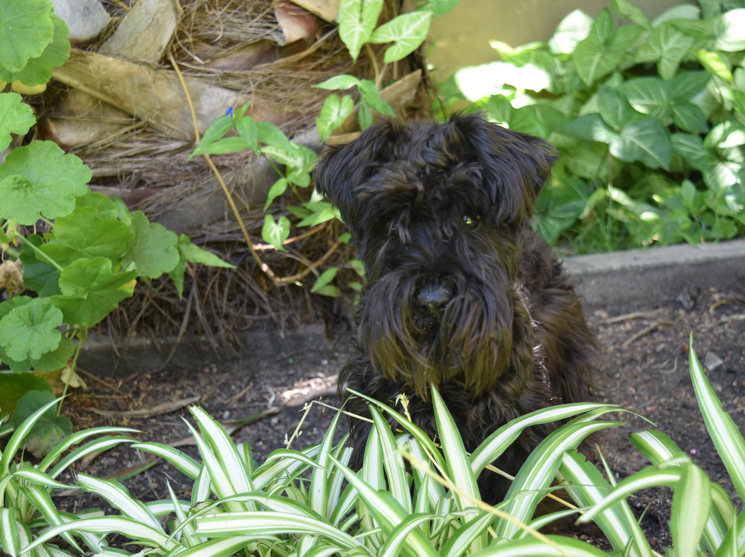 Lourd Mary Hotel主图