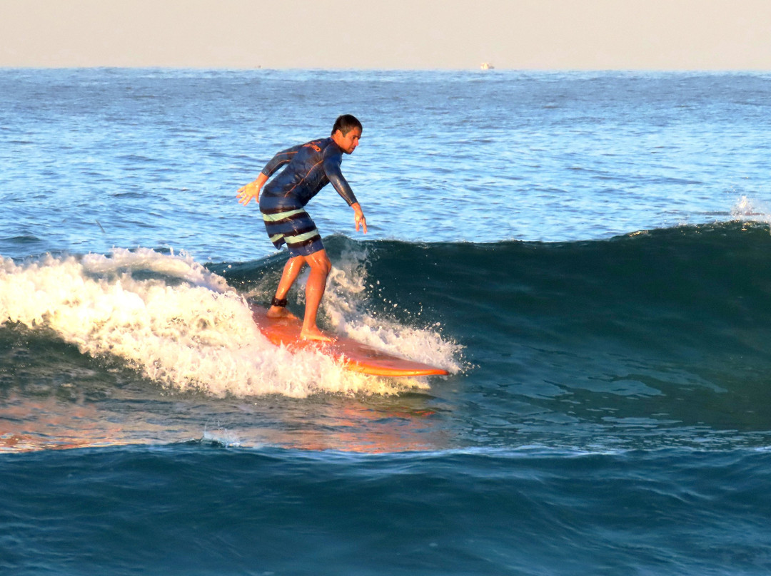 Surf Rio - Escola de Surf-里约热内卢必去景点