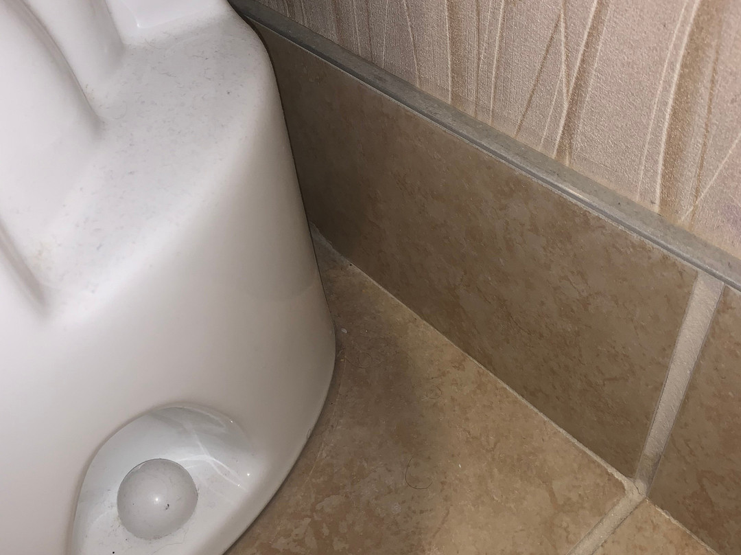 voco The Tiger Hotel Columbia by IHG主图