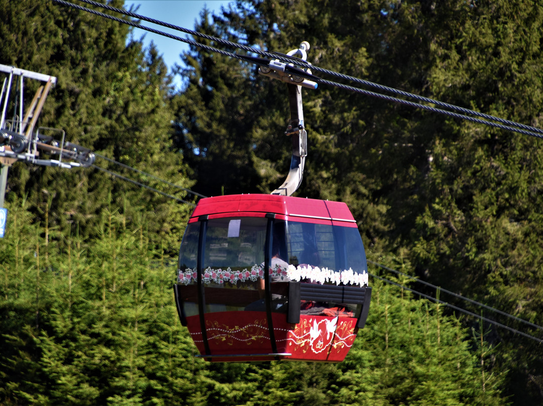 Feldbergbahn-菲尔德山必去景点