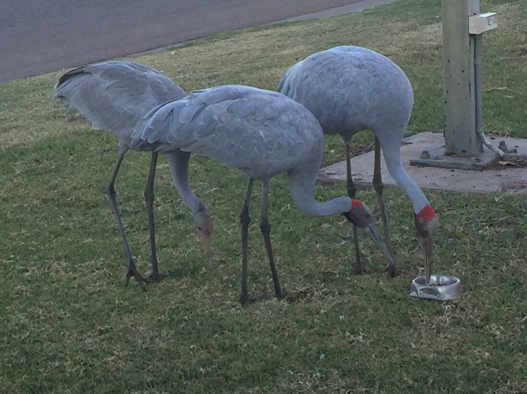 Winton Outback Motel主图