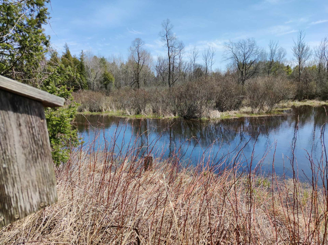 Bee Sweet Nature Co-Puslinch必去景点