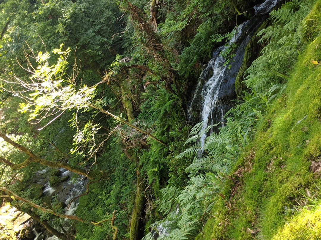 Dolgoch Falls-雪墩国家公园必去景点