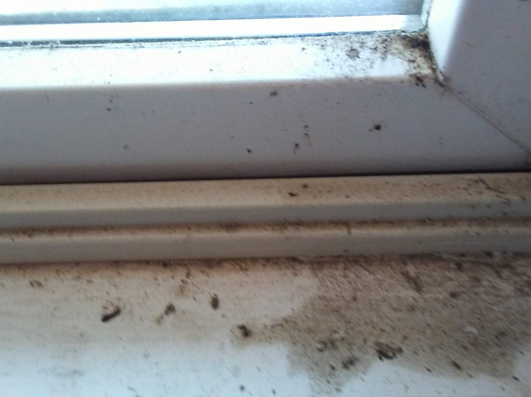 Lily Lake Resort-Burlington必去景点