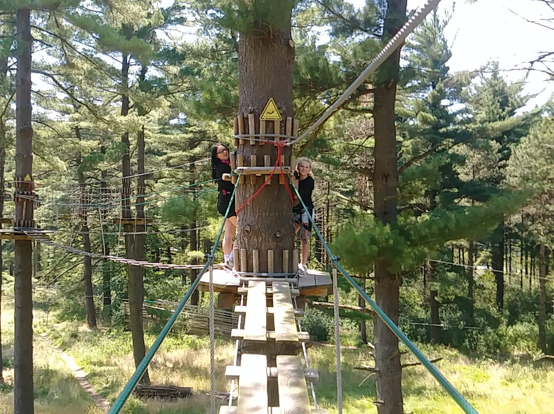 Go Ape Zipline & Adventure Park景点图片