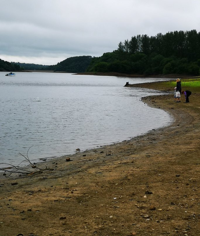 Tittesworth Water Sports and Activity Centre景点图片