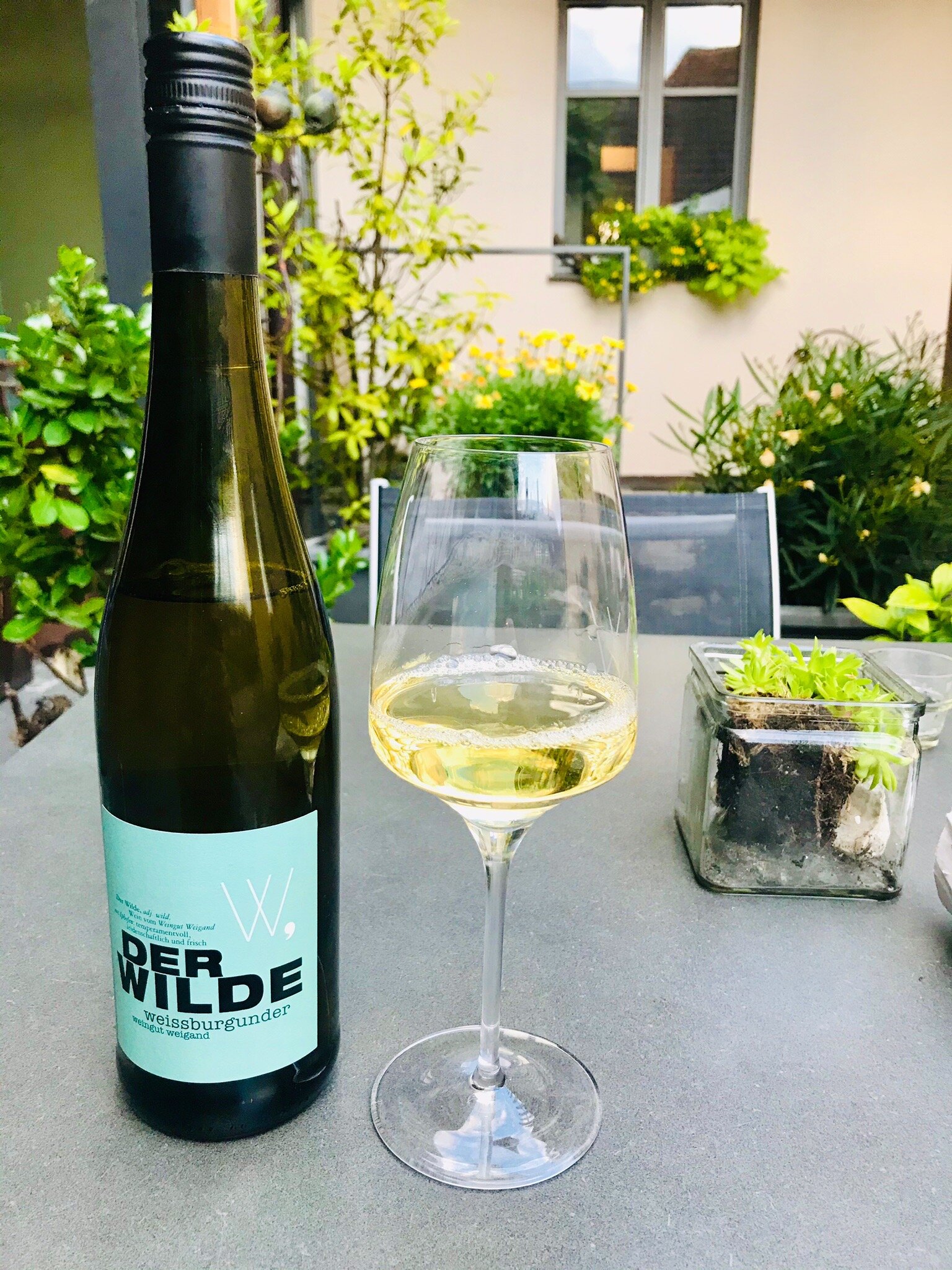 Weingut Gastehaus Weigand-官方