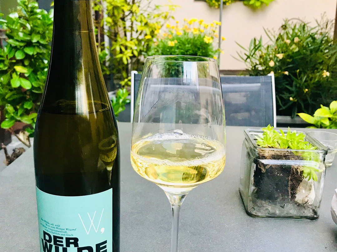 Weingut Gastehaus Weigand主图