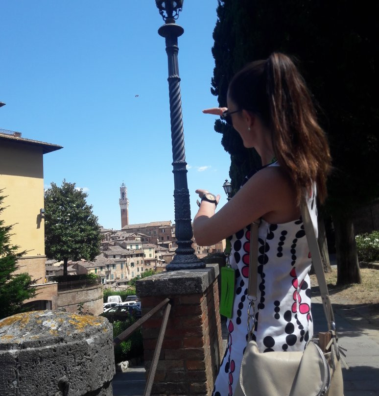 Tour Guide Siena and Province景点图片