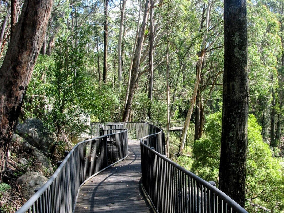Fred Piper Memorial Lookout-Bemboka必去景点