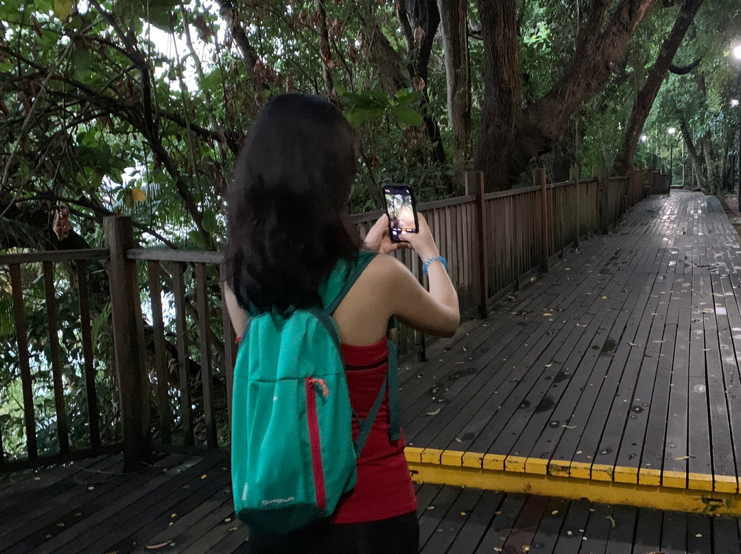 Changi Beach Boardwalk-新加坡必去景点