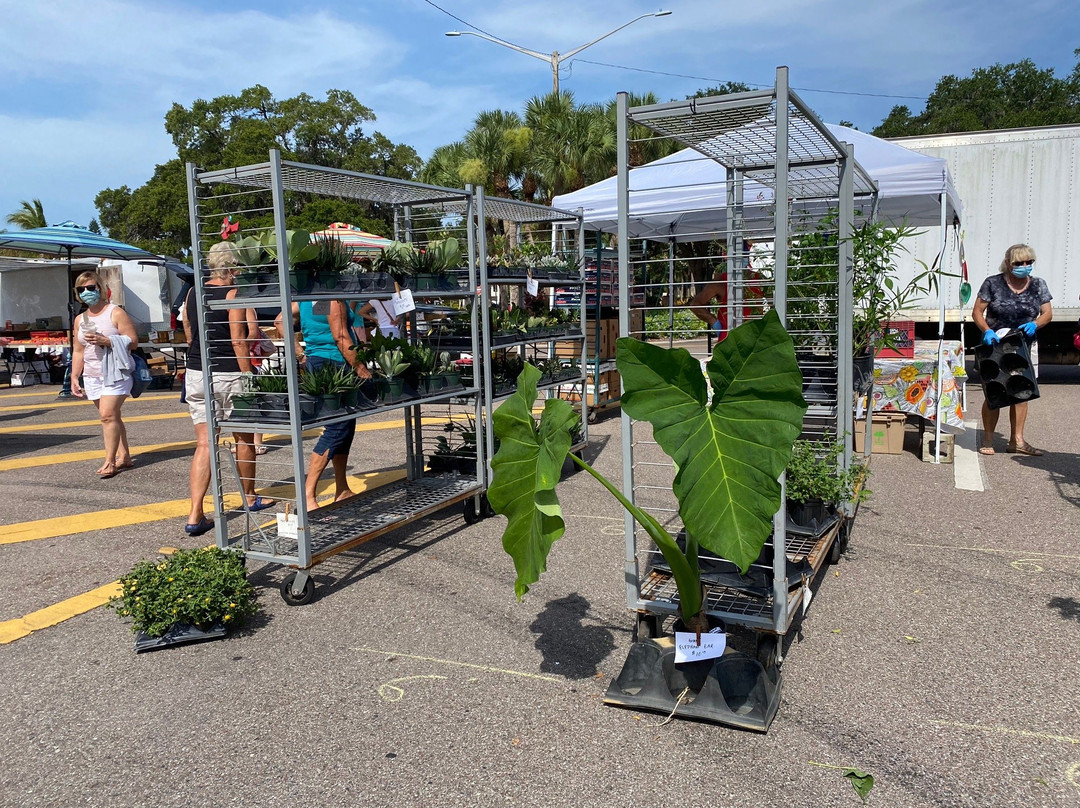 Venice Florida Farmers Market-威尼斯必去景点