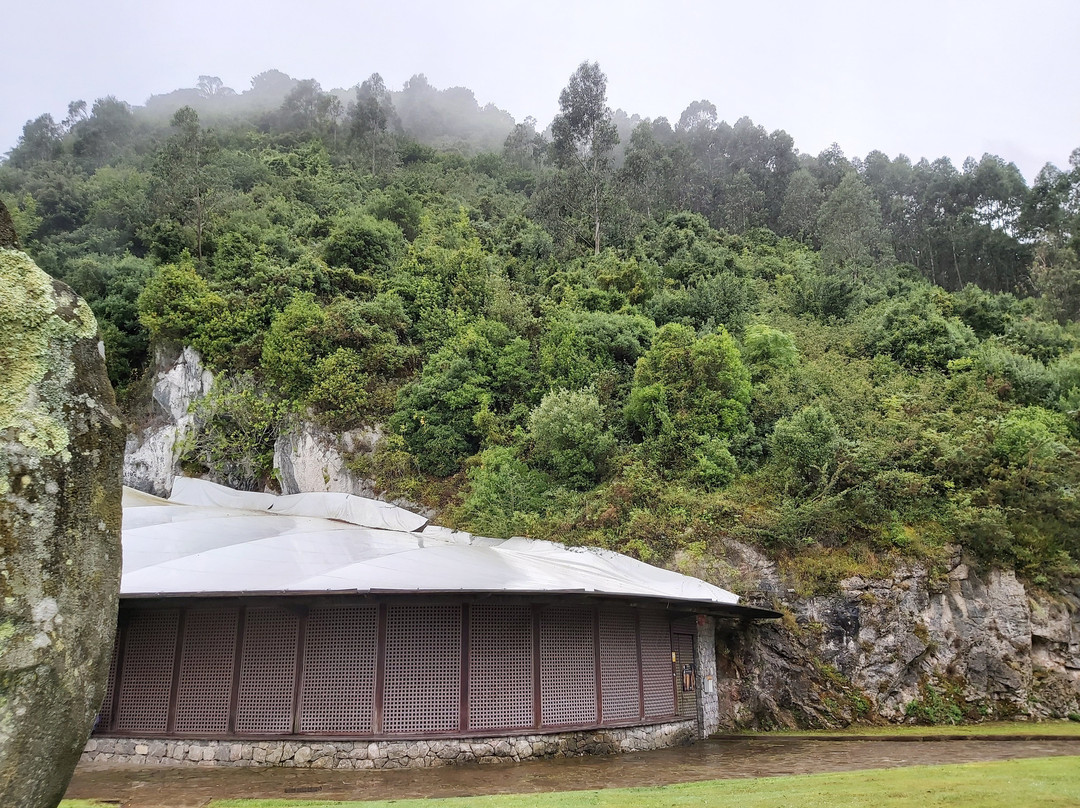 Cave of El Castillo-Puente Viesgo必去景点