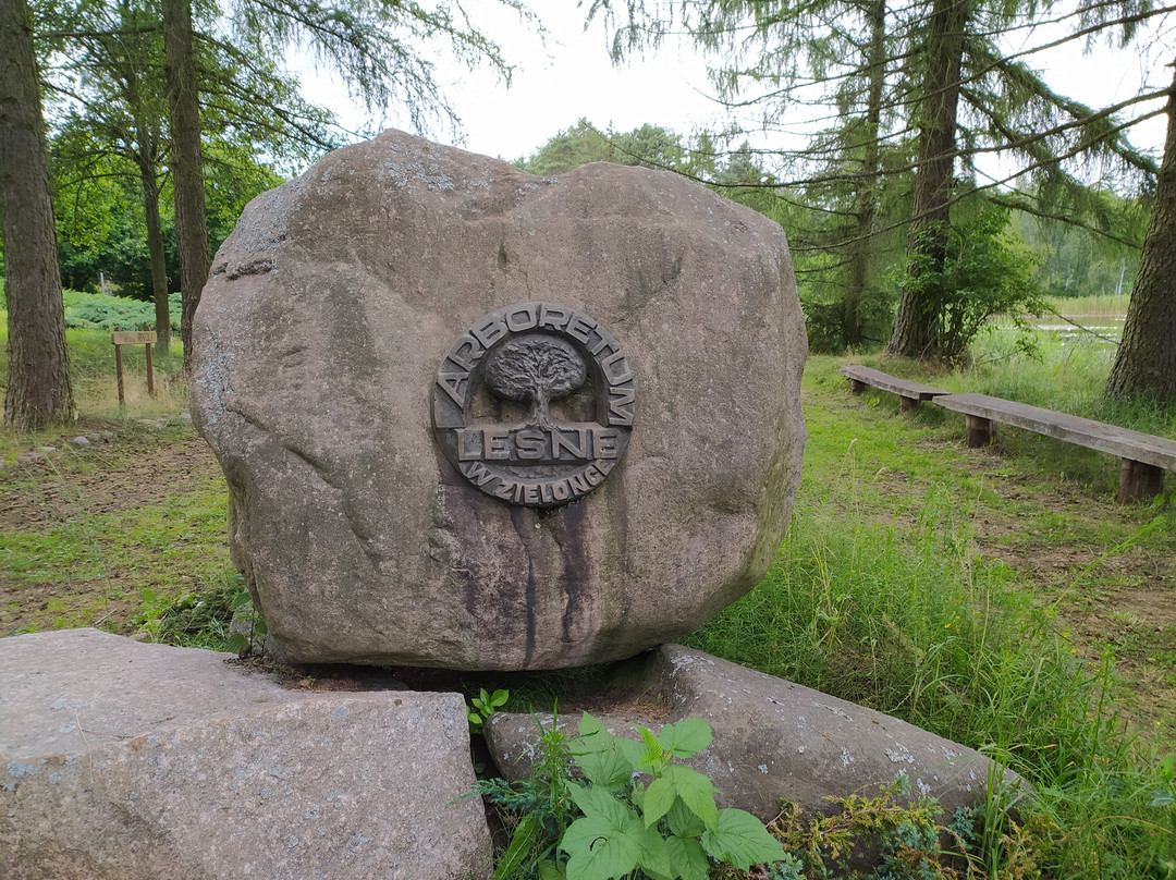 Forest Arboretum in Zielonka景点图片