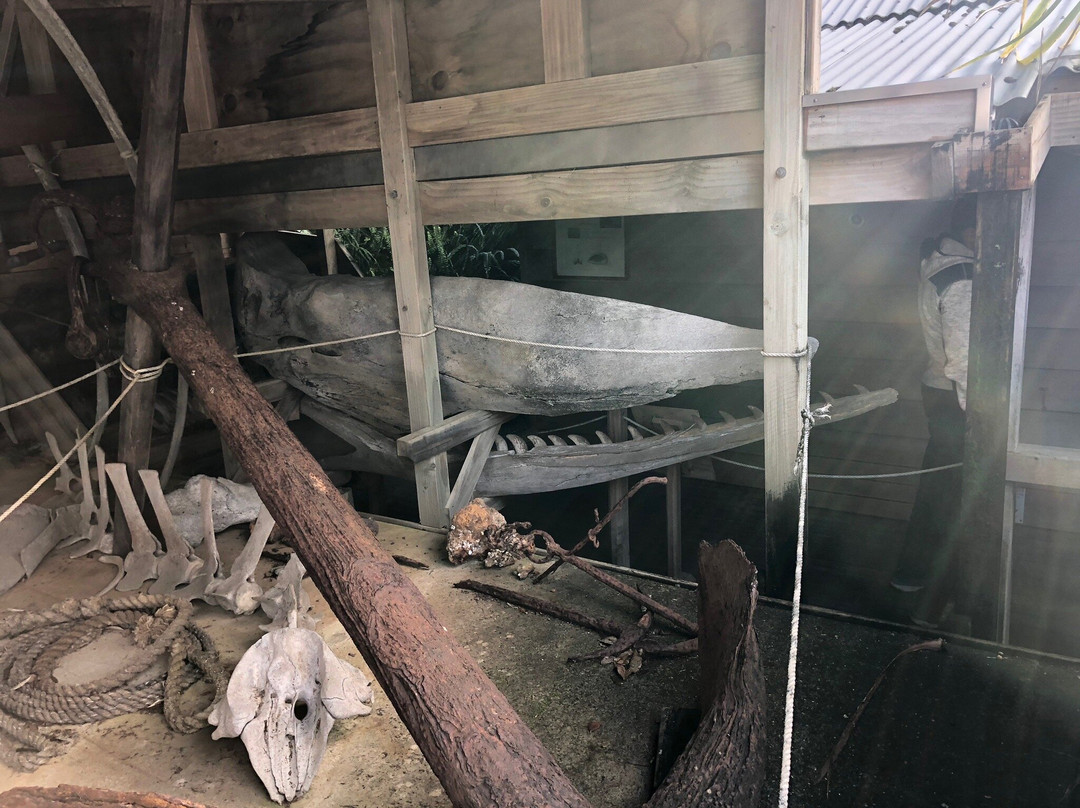Butler Point Whaling Museum-Mangonui必去景点