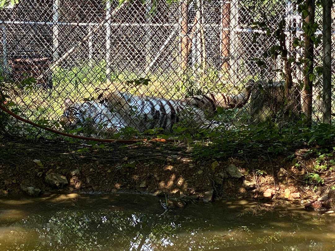 Riverside Wildlife Center-斯坦顿必去景点