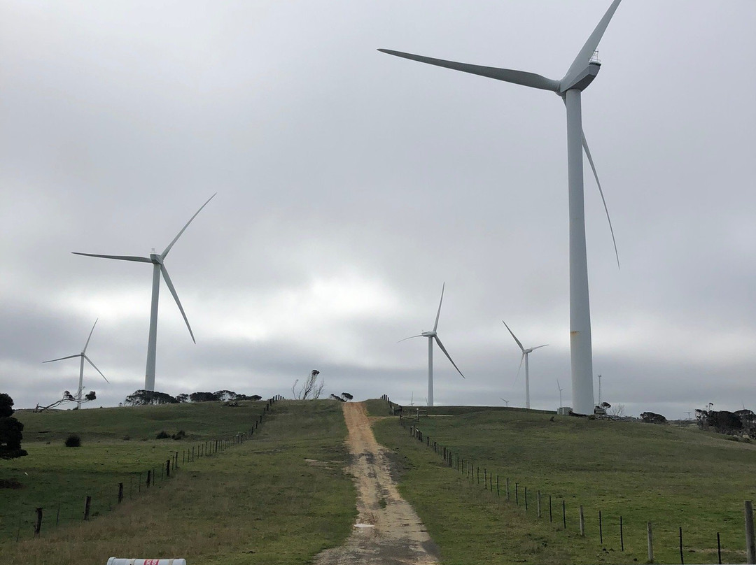 Cape Bridgewater Wind Farm-Cape Bridgewater必去景点