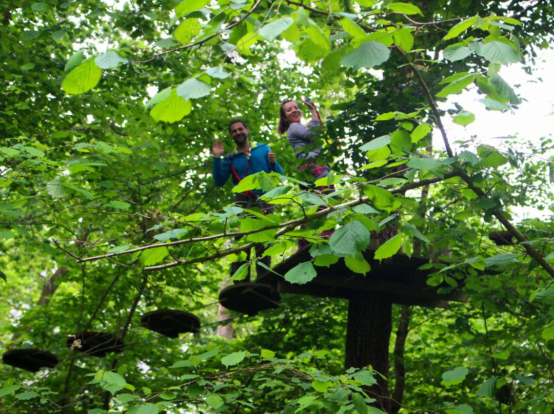 Selva Asturiana Aventura en Llanes-La Pereda必去景点